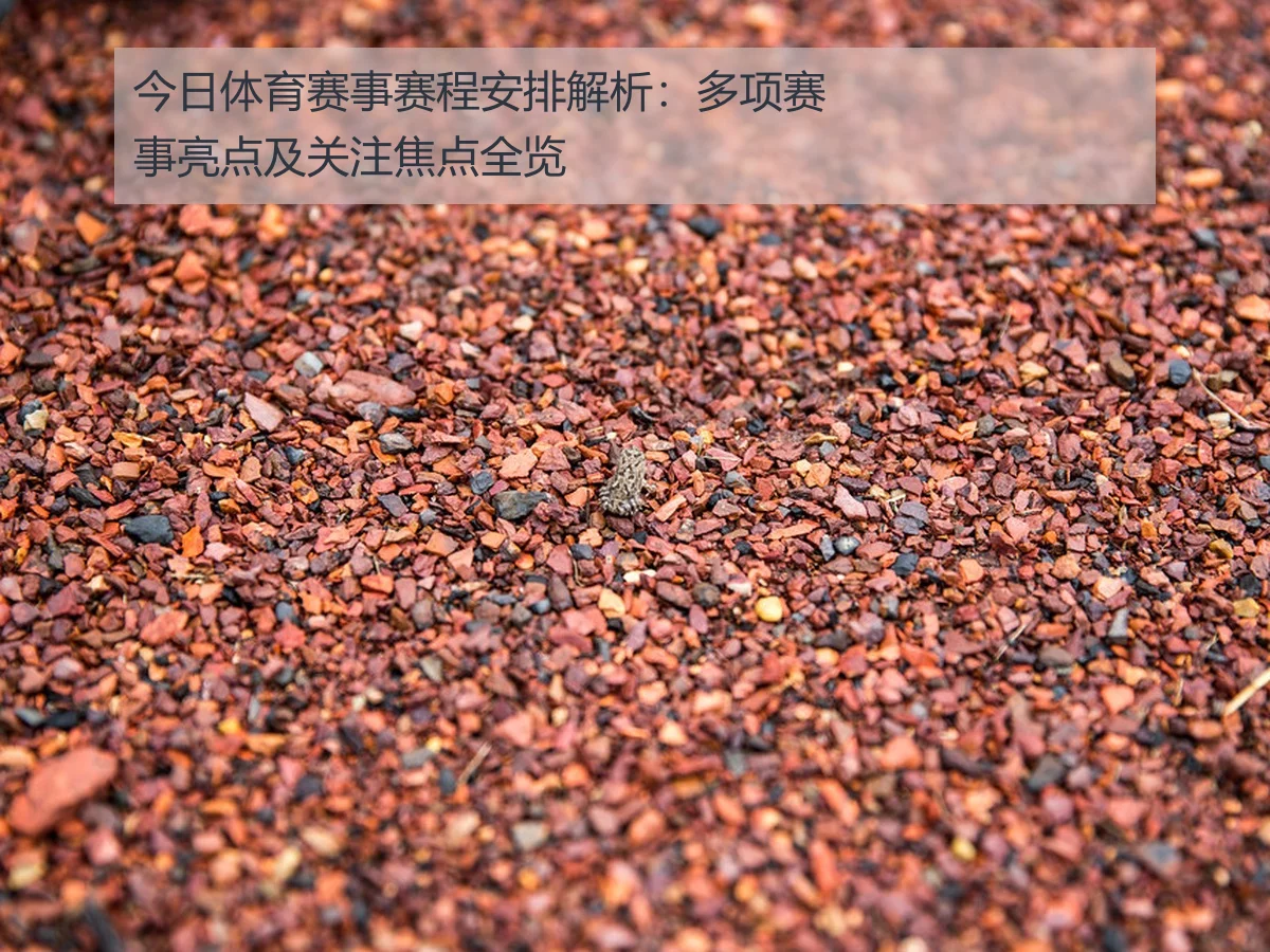 今日体育赛事赛程安排解析:多项赛事亮点及关注焦点全览